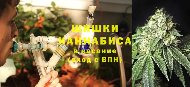 Марихуана Bruce Banner  Вятские Поляны 